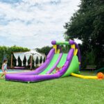 9029 double water slide