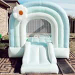 daydreamer mist bounce house